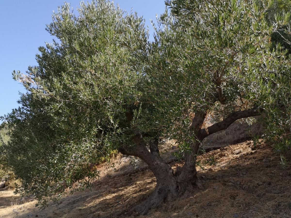 Villa Lir Tholos  외부 사진
